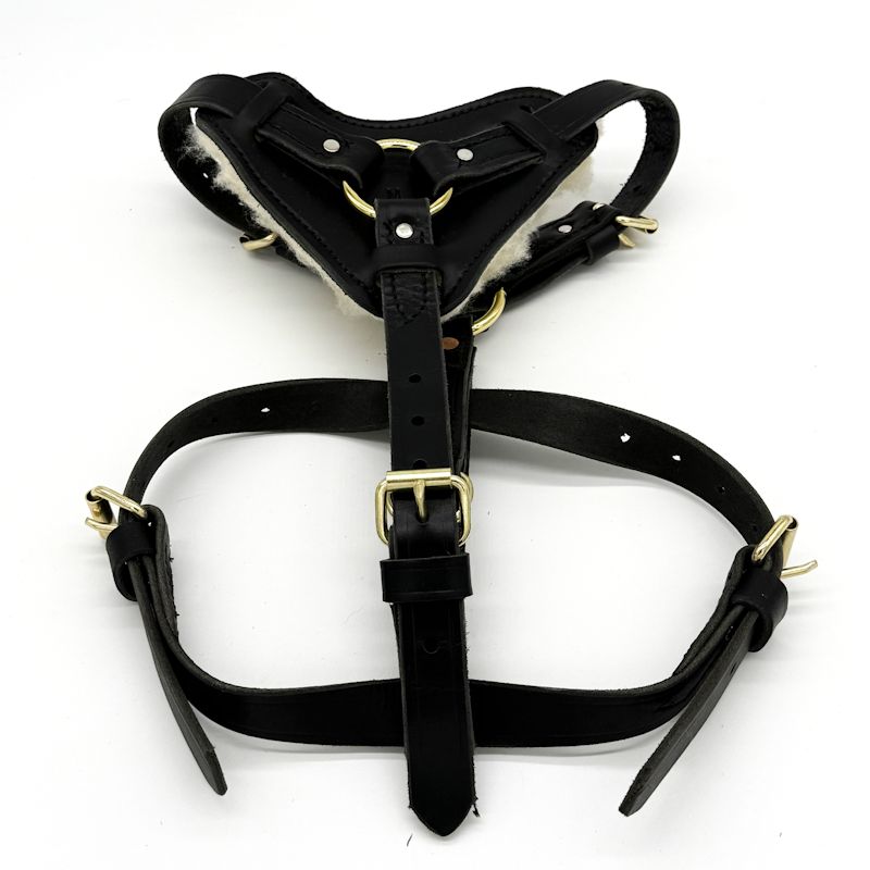 Leather Padded Harness - Black