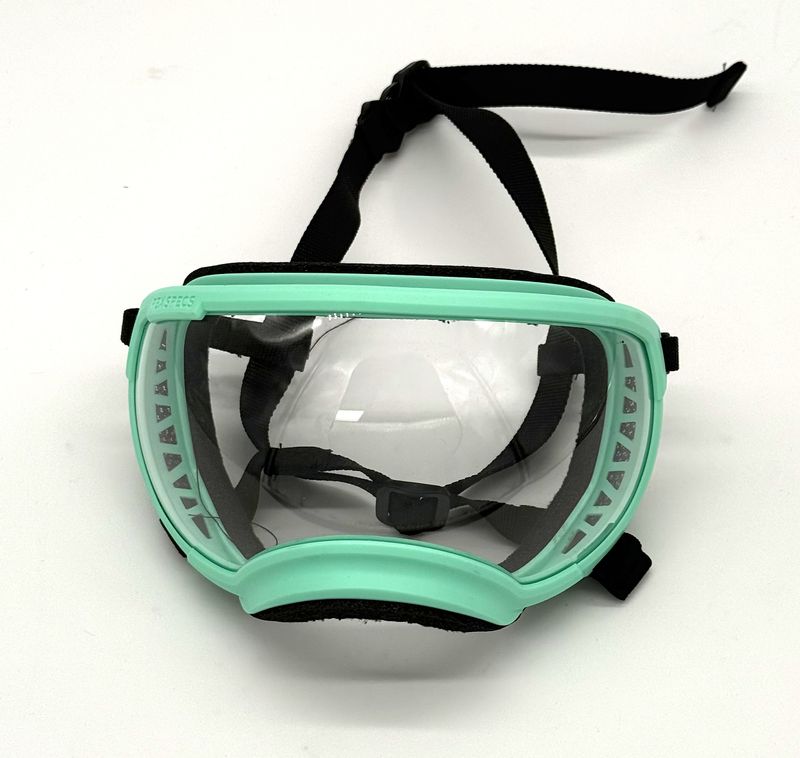 Rex Specs - V2 - Mint