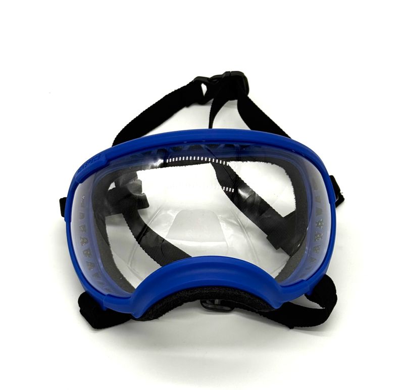 Rex Specs - V2 - Blue