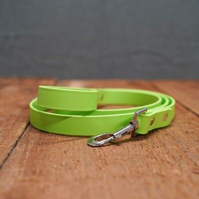 1" BETA Biothane Leash - Lime