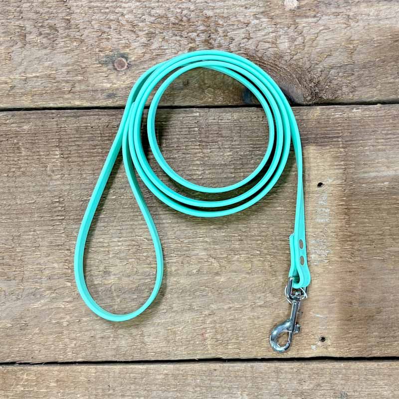 Mint BETA Biothane Leash (Various Sizes)