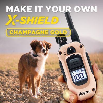 Dogtra X-Shield (Champagne) Dogtra X-Shield (Champagne)