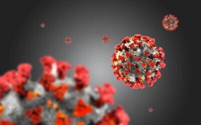 Coronavirus Resources