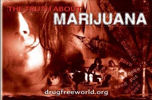 The Truth About Marijuana Booklet