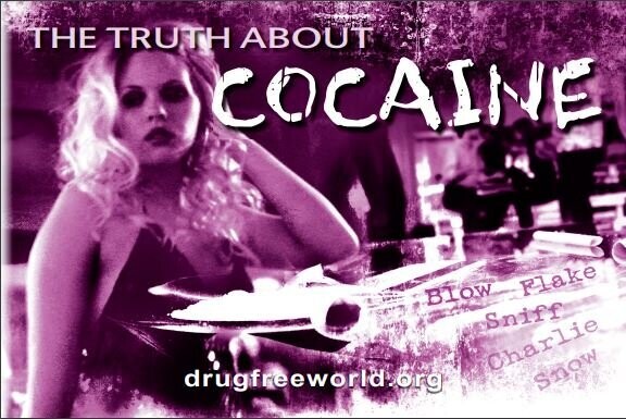 The Truth About Cocaine Booklet