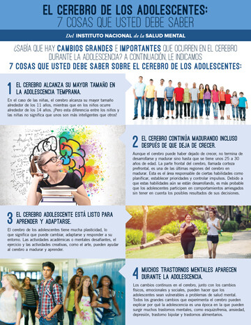 El cerebro de los adolescentes: 7 cosas que usted debe saber SPANISH - The Teen Brain: 7 Things to Know