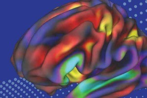 Las drogas, el cerebro y la conducta: la ciencia de la adicción SPANISH Drugs, Brains and Behavior: The Science of Addiction