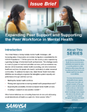 Issue Brief: Expanding Peer Support and Supporting the Peer Workforce in Mental Health