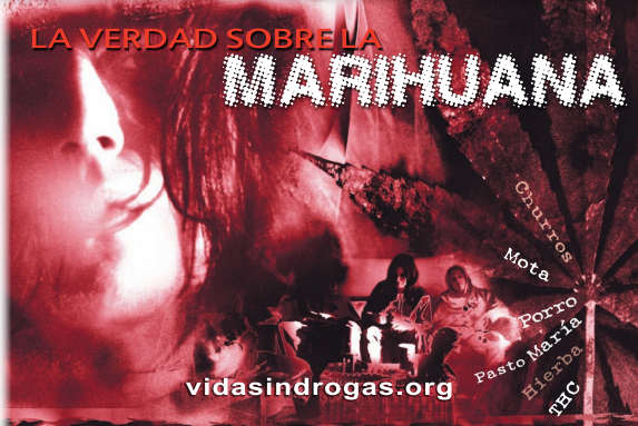 La Verdad Sobre la Marihuana SPANISH The Truth About Marijuana