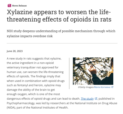 Xylazine appears to worsen the life-threatening effects of opioids in rats
