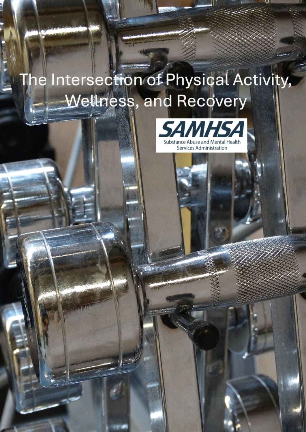 The Intersection of Physical Activity, Wellness, and Recovery
