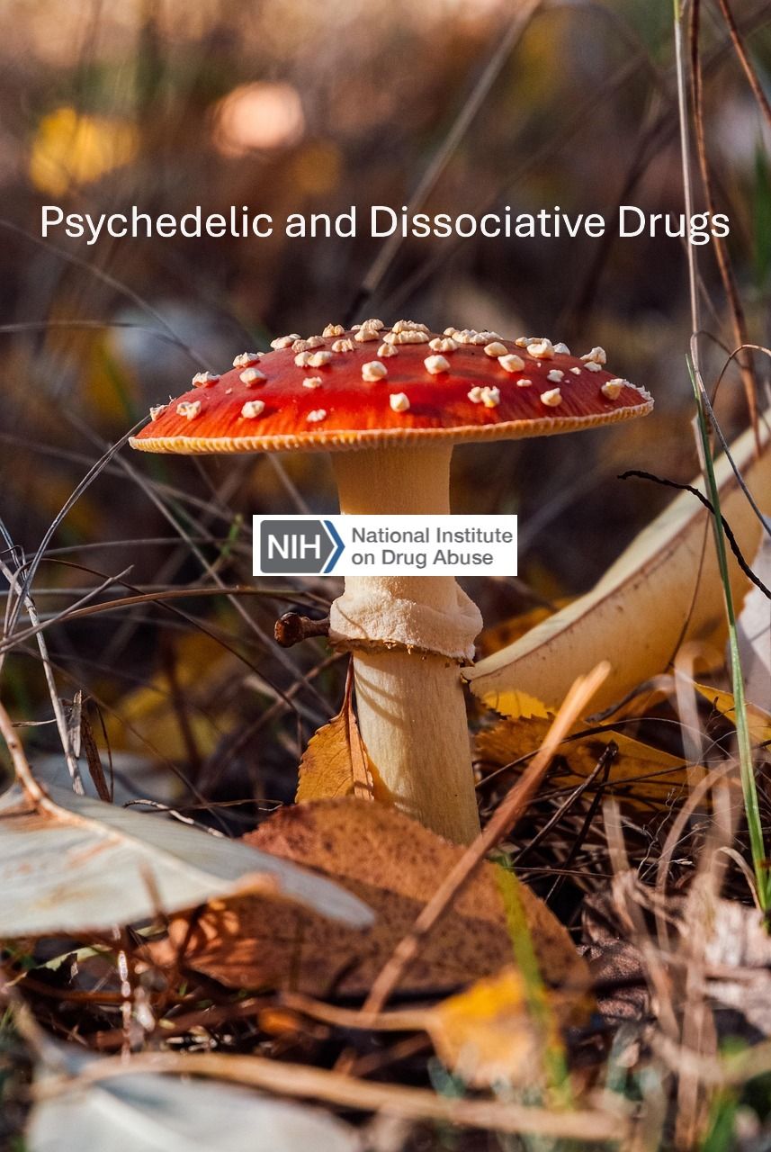 Psychedelic and Dissociative Drugs