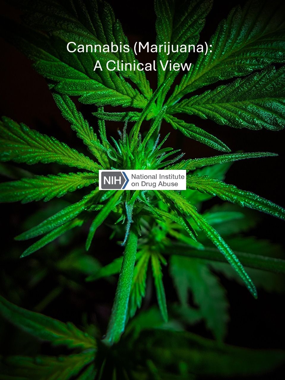 Cannabis (Marijuana): A Clinical View - NIDA