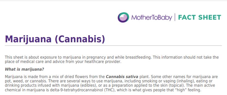 Mother to Baby Factsheet - Marijuana