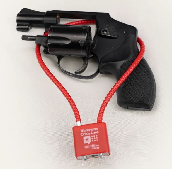 Gun Lock (Cable Style, Keyed)