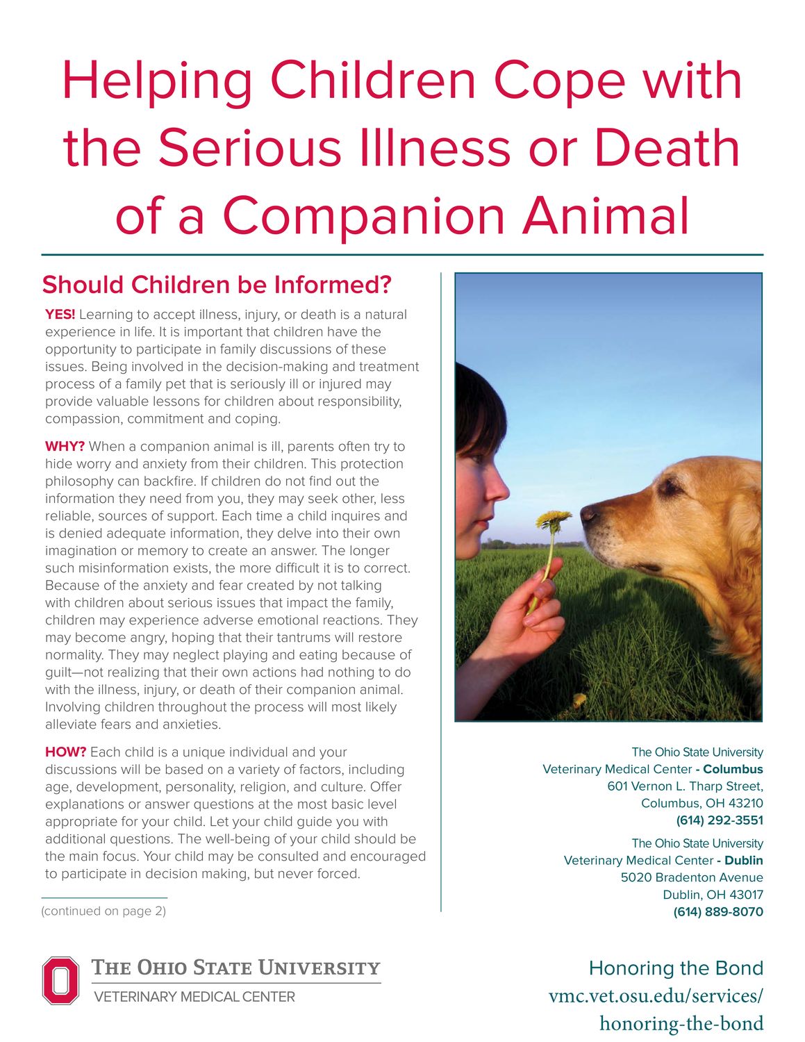 Helping Children Cope with the Serious Illness or Death of a Companion Animal