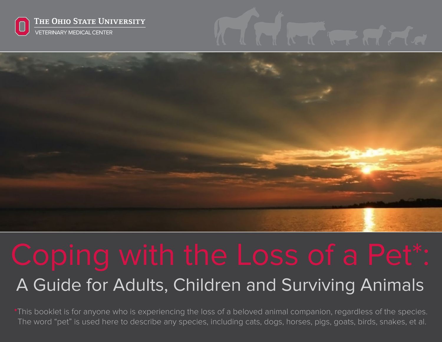 ​Coping with the Loss of a Pet