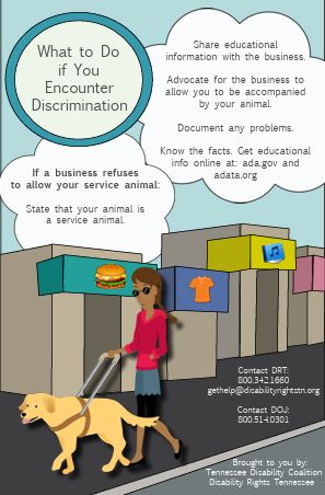 Service Animal Tip Card: What to Do if You Encounter Discrimination