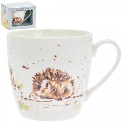 Hedgehog Mug Boxed