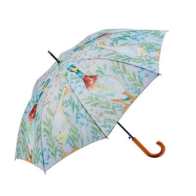 Umbrella Duck