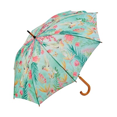 Umbrella Hummingbird Umbrella Hummingbird