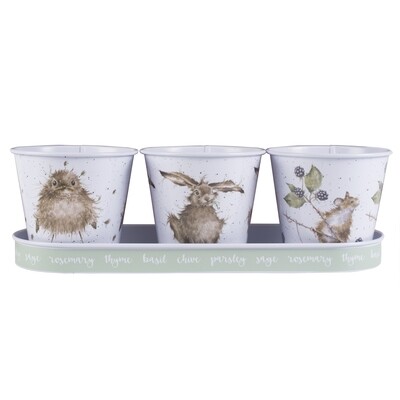 WD HERB POTS WITH TRAY MOUSE