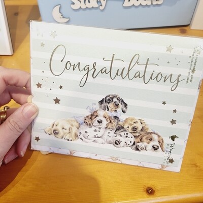 Congratulations Card Puppies