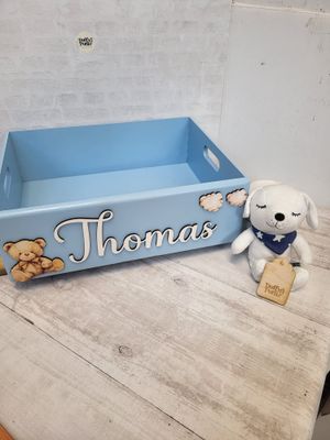 Teddy Toy and Book Case