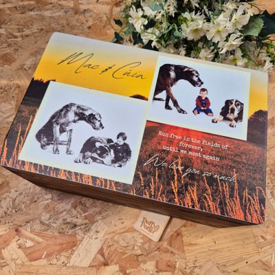 ​In Memory of Pets – Honouring Beloved Companions