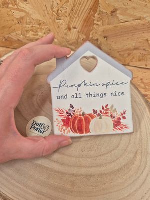Pumpkin spice and all things nice Coaster/Sign