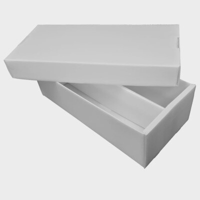 Cardboard Shoebox