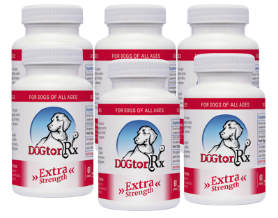 DogtorRx - Longevity For Your Dogs! (Save 20% & Free Shipping!) (Each Bottle is a 2-Month Supply)
