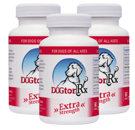 DogtorRx - Longevity For Your Dogs! (Save 10% & Free Shipping!) (Each Bottle is a 2-Month Supply!)