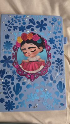 Frida book