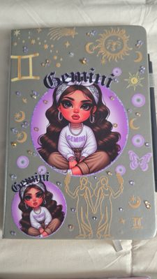 Gemini notebook