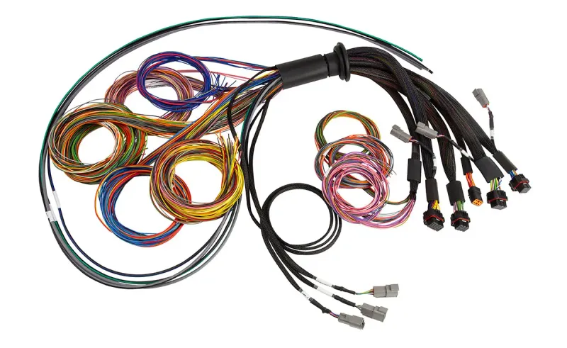 Haltech NEXUS R5 Basic Universal Wire-In harness Length: 5M