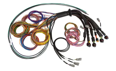 Haltech NEXUS R5 Basic Universal Wire-In harness Length: 5M