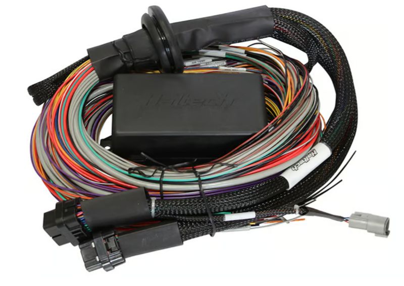 Haltech - Elite 1500 2.5m Premium Universal Wire-in Harness