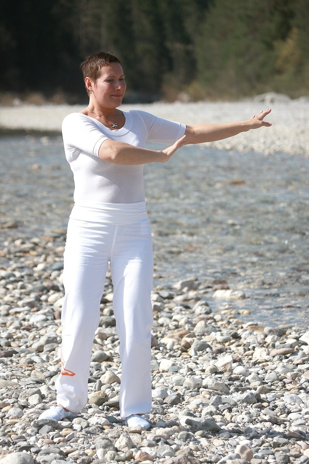 Tai Chi for Health - Spring Practice (March/April)