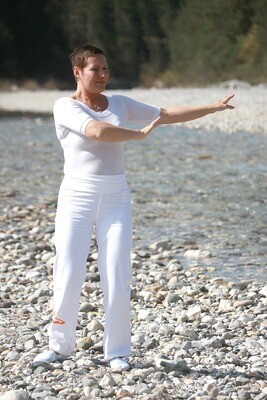 Tai Chi for Health - Summer Practice (May/June)