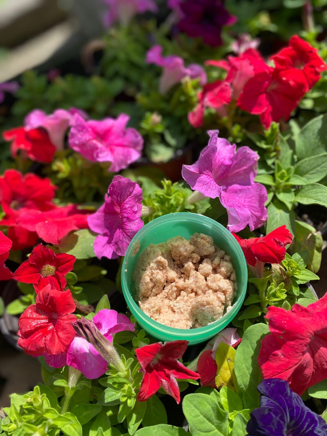 Himalayan Pink Salt Scrub (8oz)