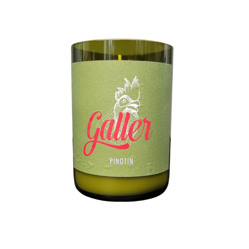 Kerze "Galler Pinotin"