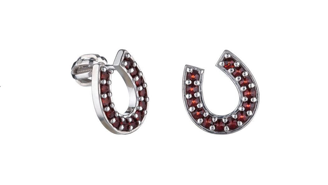 Ohrringe  Hufeisen Silber