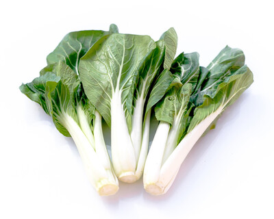 Long Bokchoy長白菜