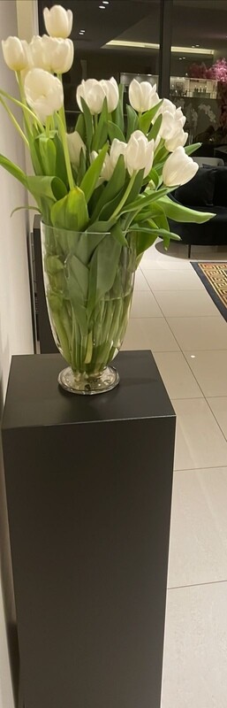 Black Wooden Display Plinth Details in Description