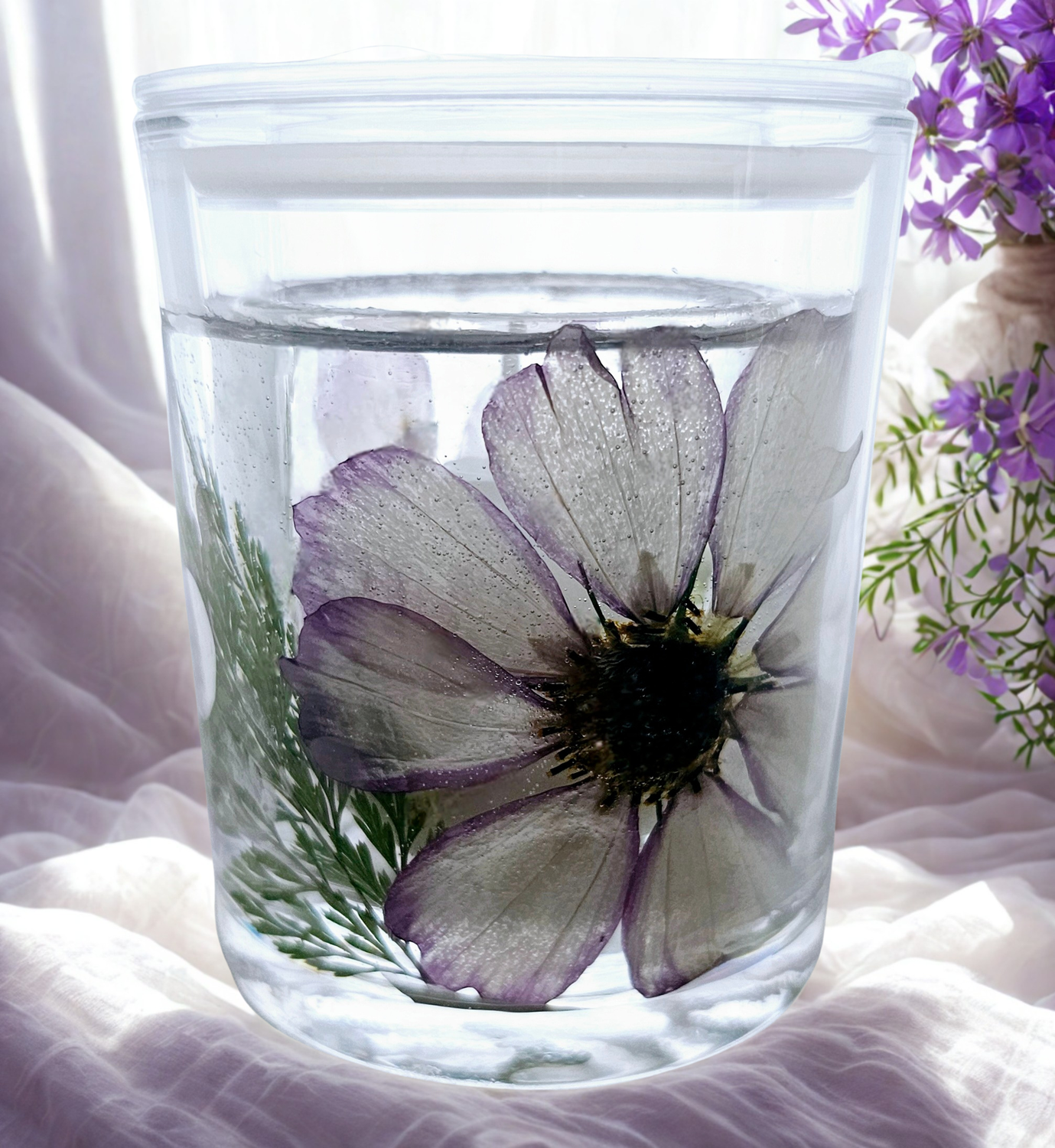 Cosmos