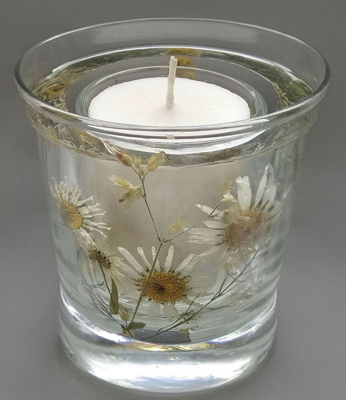 Back road daisies