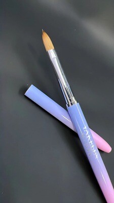 Acrylic Brushes- Pink & Blue