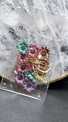 Dry Flower
