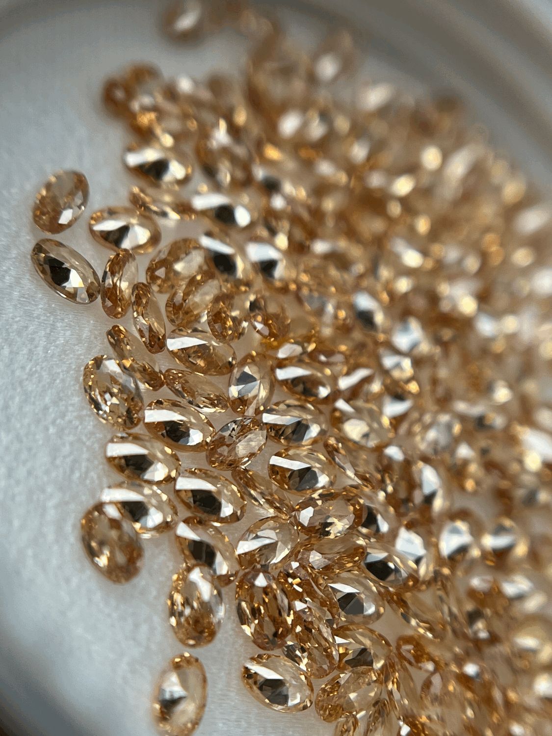 oval 2/3 mm D champagne  12 unit